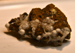 Okenite Et Scolecite Sur Matrice - Minerali