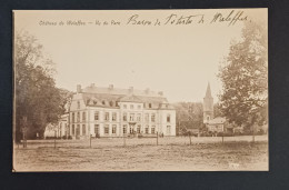 CHÂTEAU DE WALEFFES / VU DU PARC - Faimes