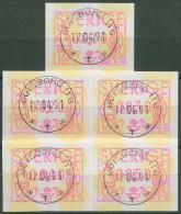Schweden ATM 1991 Paar In Landestracht Satz 5 Werte ATM 1 S Gestempelt - Machine Labels [ATM]