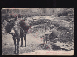 Les Pyrénées - Types Montagnards - Repos Dans La Montagne - (Ane) - Postkaart - Midi-Pyrénées