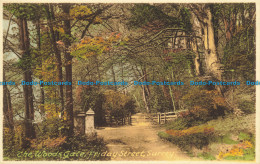R648474 Surrey. The Woods Gate. Friday Street. F. Frith. No. 69988 - Monde