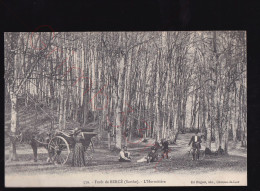 Forêt De Bercé - L'Hermitière - Postkaart - Other & Unclassified
