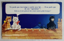CP Bamforth. Chats / Cats. N°2195 - Humour