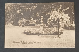 OYDONCK / LE CHATEAU / BACHTE MARIA LEERNE / UNE VUE DU JARDIN - Deinze