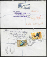 Malaysia Penang Bukit Mertajam Registered Cover Mailed To Singapore 1966. Birds Stamps - Malesia (1964-...)