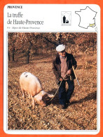 04 LA TRUFFE DE HAUTE PROVENCE Alpes Haute Provence  PROVENCE Géographie Fiche Illustrée Documentée - Geografia
