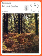 91 LA FORET DE DOURDAN Essonne   ILE DE FRANCE Géographie Fiche Illustrée Documentée - Géographie