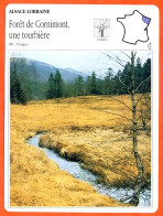 88 FORET DE CORNIMONT UNE TOURBIERE Vosges  ALSACE LORRAINE Géographie Fiche Illustrée Documentée - Géographie
