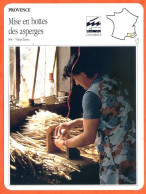 84 MISE EN BOTTES DES ASPERGES Vaucluse  PROVENCE Géographie Fiche Illustrée Documentée - Géographie