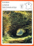 78 LA FORET DE SAINT GERMAIN EN LAYE  Yvelines ILE DE FRANCE Géographie Fiche Illustrée Documentée - Geographie