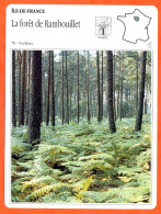 78 LA FORET DE RAMBOUILLET Yvelines  ILE DE FRANCE Géographie Fiche Illustrée Documentée - Geographie