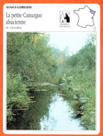 68 LA PETITE CAMARGUE ALSACIENNE Haut Rhin  ALSACE LORRAINE Géographie Fiche Illustrée Documentée - Géographie