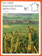 68 AMMERSCHWIHR KIENTZHEIM VIGNOBLES D'ALSACE Haut Rhin   ALSACE LORRAINE Géographie Fiche Illustrée Documentée - Géographie