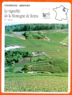 51 LE VIGNOBLE DE LA MONTAGNE DE REIMS Marne CHAMPAGNE ARDENNES Géographie Fiche Illustrée Documentée - Géographie