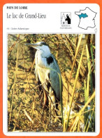 44 LE LAC DE GRAND LIEU  Loire Atlantique   PAYS DE LOIRE  Géographie Fiche Illustrée Documentée - Geographie