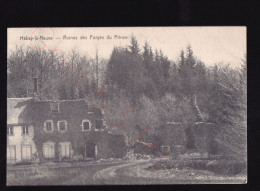 Habay-la-Neuve - Ruines Des Forges Du Prince - Postkaart - Habay