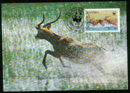 Mk Zambia Maximum Card 1987 MiNr 440 | Endangered Wildlife. WWF. Black Lechwe Running Through Water #max-0150 - Zambie (1965-...)