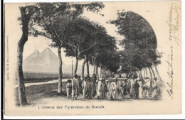 L'avenue Des Pyramides De Guiséh  - 7699 - Zonder Classificatie