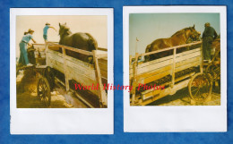 2 Photos Polaroïd Vers 1980 - Battage Du Blé Avec Batteuse - Machine Agricole DUPUIS à Montier En Der Cheval Agriculture - Profesiones