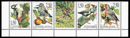 Yugoslavia 1997 Fauna Protected Animals Forest Birds Dendrocopos Major Nucifraga Caryocatactes, Set In Strip & Label MNH - Ungebraucht