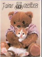 Chat Et Ours  -cat Dressed Bear -katze Bär- Kleine Poes Grote Beer - Katzen