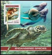 Sierra Leone - 2018 - Endangered Species Turtle Kangaroo - Yv Bf 1415 - Autres & Non Classés