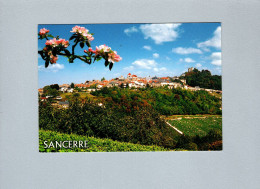 Sancerre (18) : La Colline Vue Du Vignoble - Sancerre