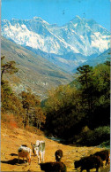 30-5-2024 (6 Z 31) Thailand (posted To Australia 1988)  - Mt Everest Mountain - Thailand