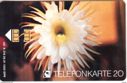 GERMANY - Flower(K 316), Tirage 1000, 06/91, Mint - K-Reeksen : Reeks Klanten