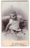 Fotografie Otto Lorenz, Solingen, Portrait Niedliches Baby Im Weissen Hemd Auf Fell Sitzend  - Personnes Anonymes