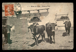 03 - VICHY - LES ARENES - TOROS AU TORIL - Vichy