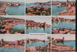 Cpsm 66 Souvenir E Collioure - Collioure