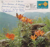 Pro Infirmis Karte 380  "Feuerlilie"  (Flagge WWF)       1968 - Flowers
