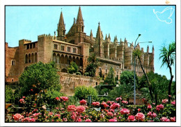 30-5-2024 (6 Z 33) Spain - Palma De Mallorcaa Catehdral - Kerken En Kathedralen