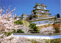 30-5-2024 (6 Z 33) Japan (posted To France) Himiji Castle - Châteaux