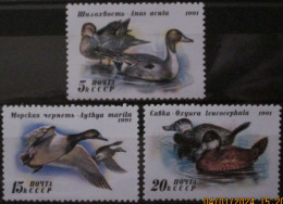 RUSSIA ~ 1991 ~ S.G. NUMBERS 6264 - 6266, ~ DUCKS. ~ MNH #03685 - Unused Stamps