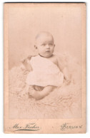 Fotografie Max Fischer, Berlin N., Invalidenstrasse 164, Baby Auf Fell  - Anonymous Persons