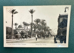 1036 SPAIN ESPAÑA CANARIAS LAS PALMAS DE GRAN CANARIA PARQUE SAN TELMO RARE POSTCARD - La Palma