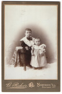 Fotografie G. Richers, Northeim I. Hs., Breitestrasse 477, Kleiner Junge Und Kleines Mädchen Mit Puppe  - Anonieme Personen