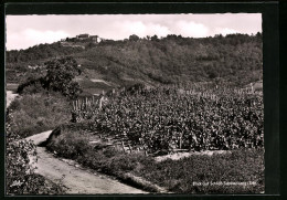 AK Schwanberg /Ufr., Blick Auf Das Schloss  - Other & Unclassified