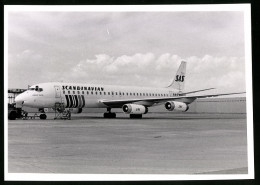 Fotografie Flugzeug Douglas DC-8, Passagierflugzeug Der SAS  - Aviation