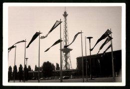 Fotografie Unbekannter Fotograf, Ansicht Berlin, Messegelände Am Kaiserdamm Mit Messehalle & Funkturm  - Lieux