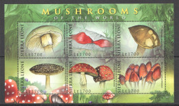 Sierra Leone - 2009 - Mushrooms - Yv 4430/35 - Funghi