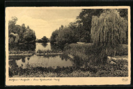 AK Köthen I. Anhalt, Ufer Des Hubertus-Teich  - Koethen (Anhalt)