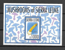 Sierra Leone - 1996 - Mushrooms - Yv Bf 214 - Champignons