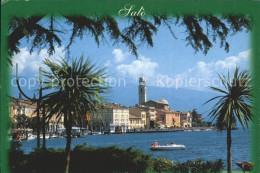 72374818 Salo Lago Di Garda See Palmen Kirche  - Altri & Non Classificati