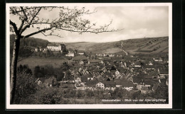 AK Niederstetten, Blick Von Der Alterbergsteige  - Other & Unclassified