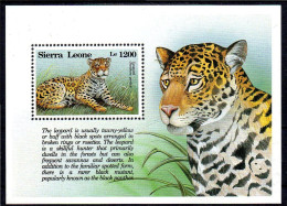 Sierra Leone - 1993 - Leopard: Panthera Perdus - Yv Bf 219 - Big Cats (cats Of Prey)