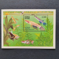 Sierra Leone - 1991 - Fishes - Yv Bf 180 - Poissons