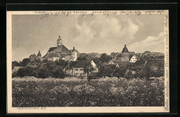 AK Günzburg A. D., Ortsansicht Von Den Wiesen Aus  - Günzburg